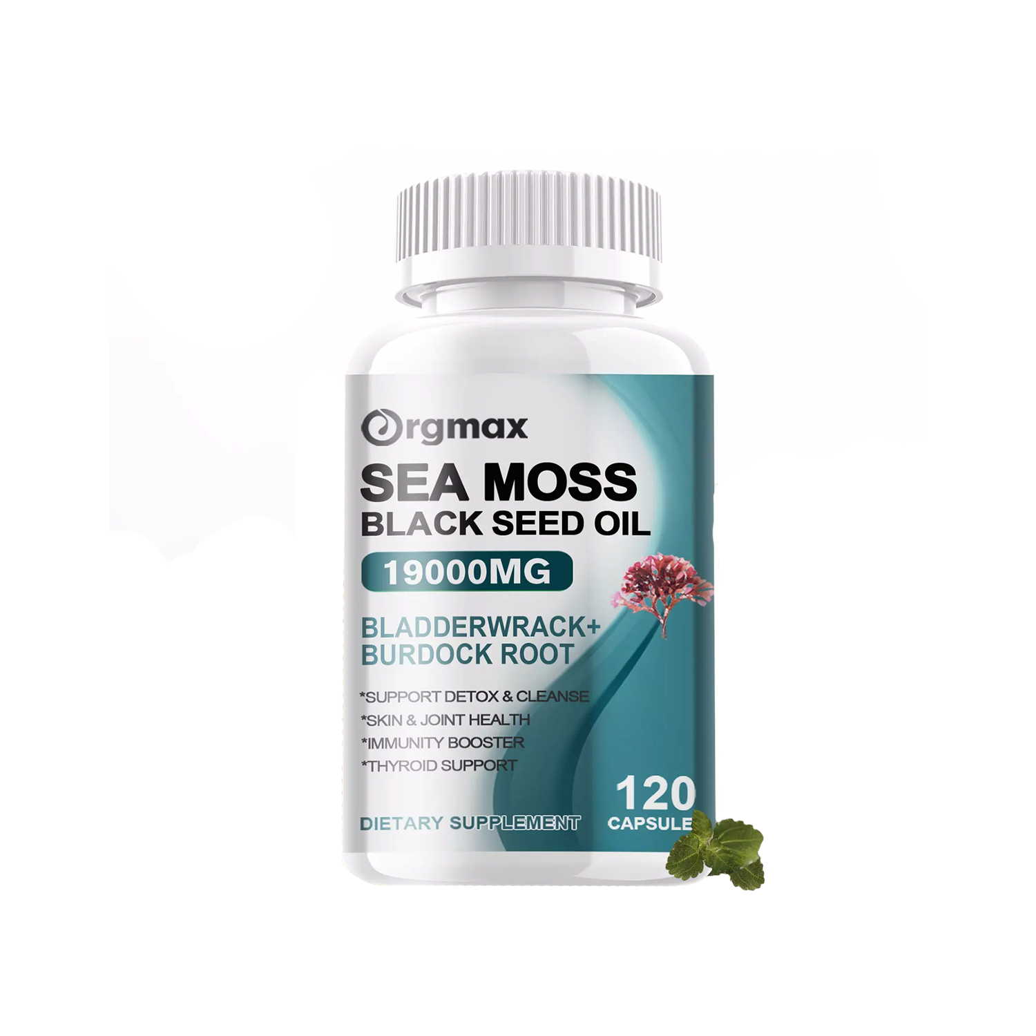 Sea Moss